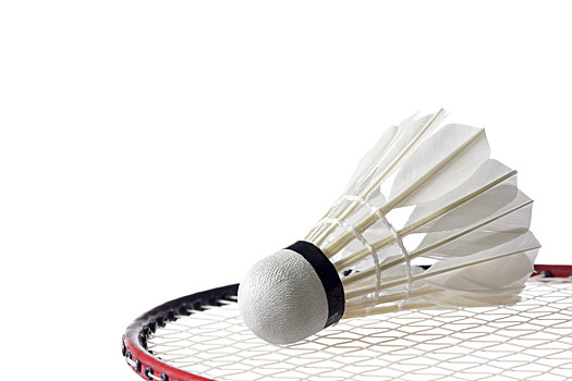 赛区生态同 赛区生态同